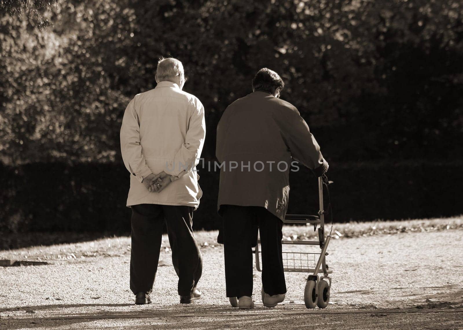 seniors or elderly