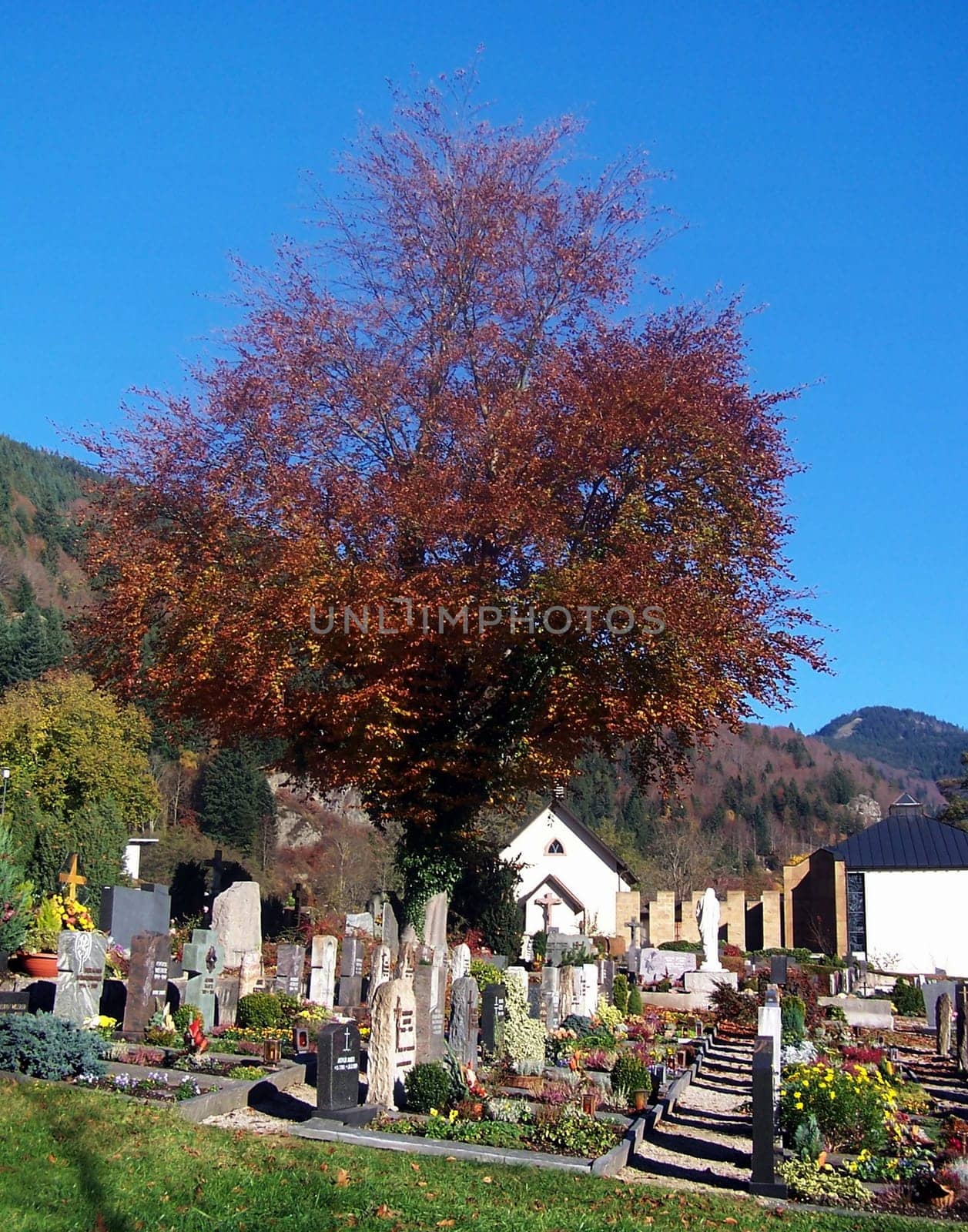 Cemetery