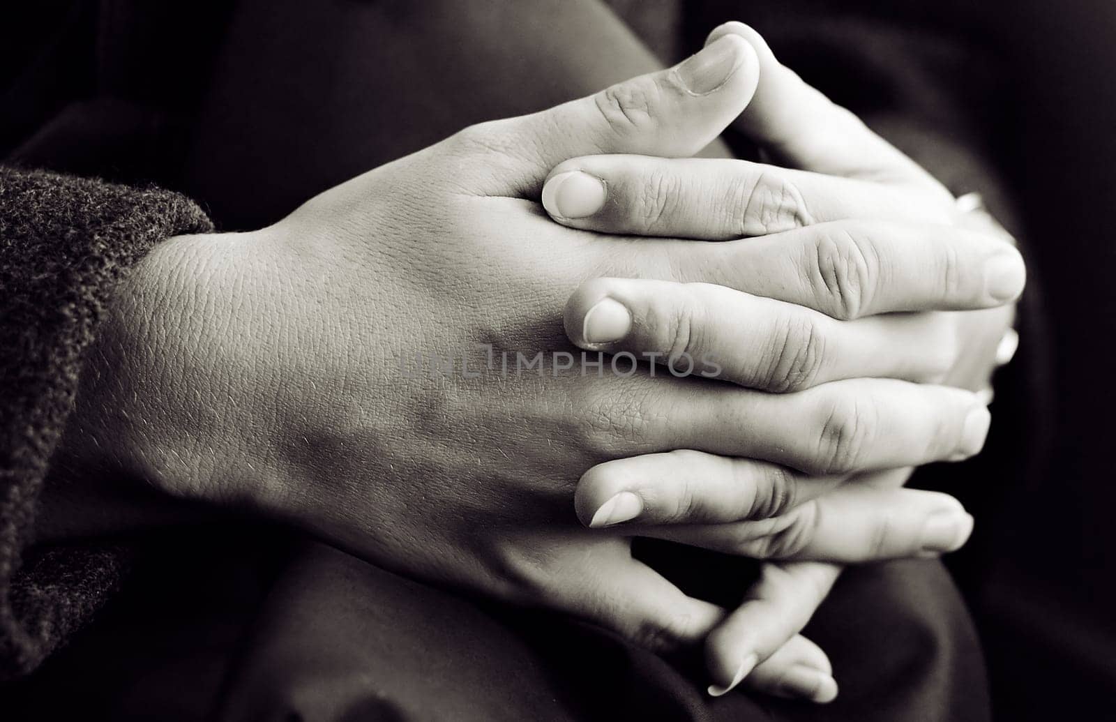 Praying Hands I