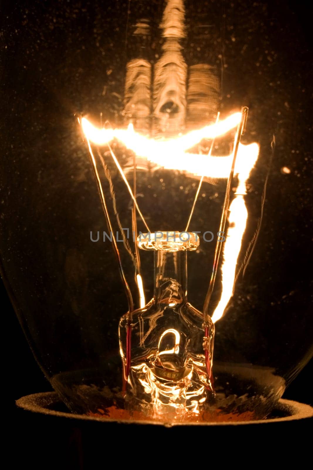 Bulb 01