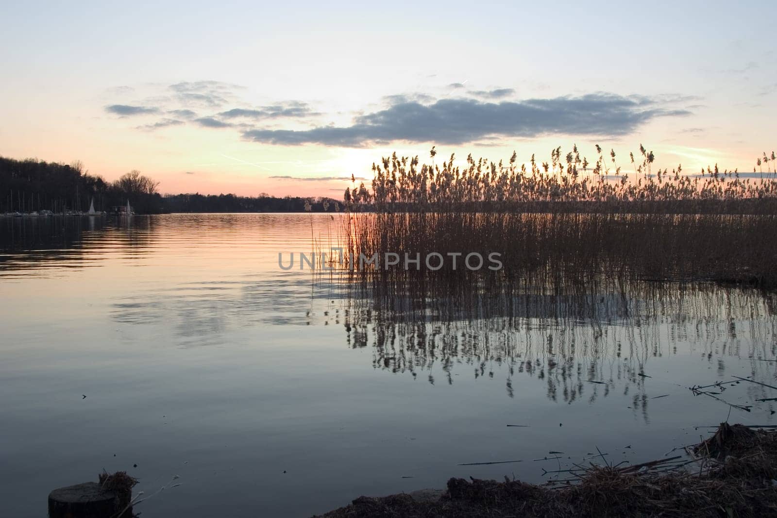 Evening at the lake 07