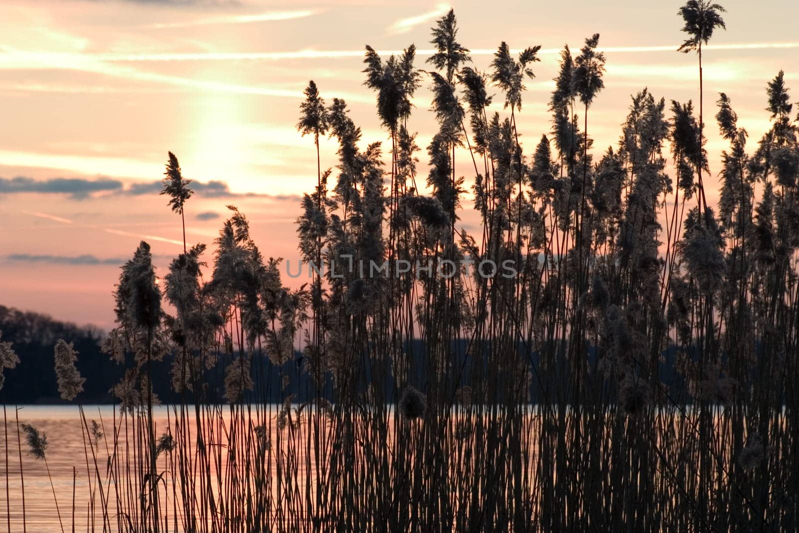 Evening at the lake 10