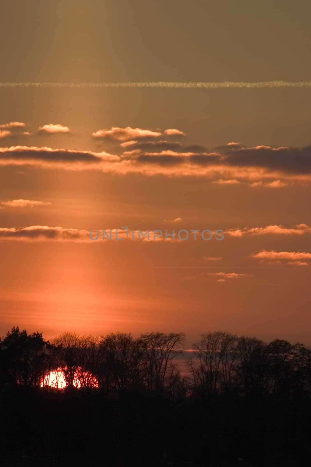 Sun over Wannsee 02