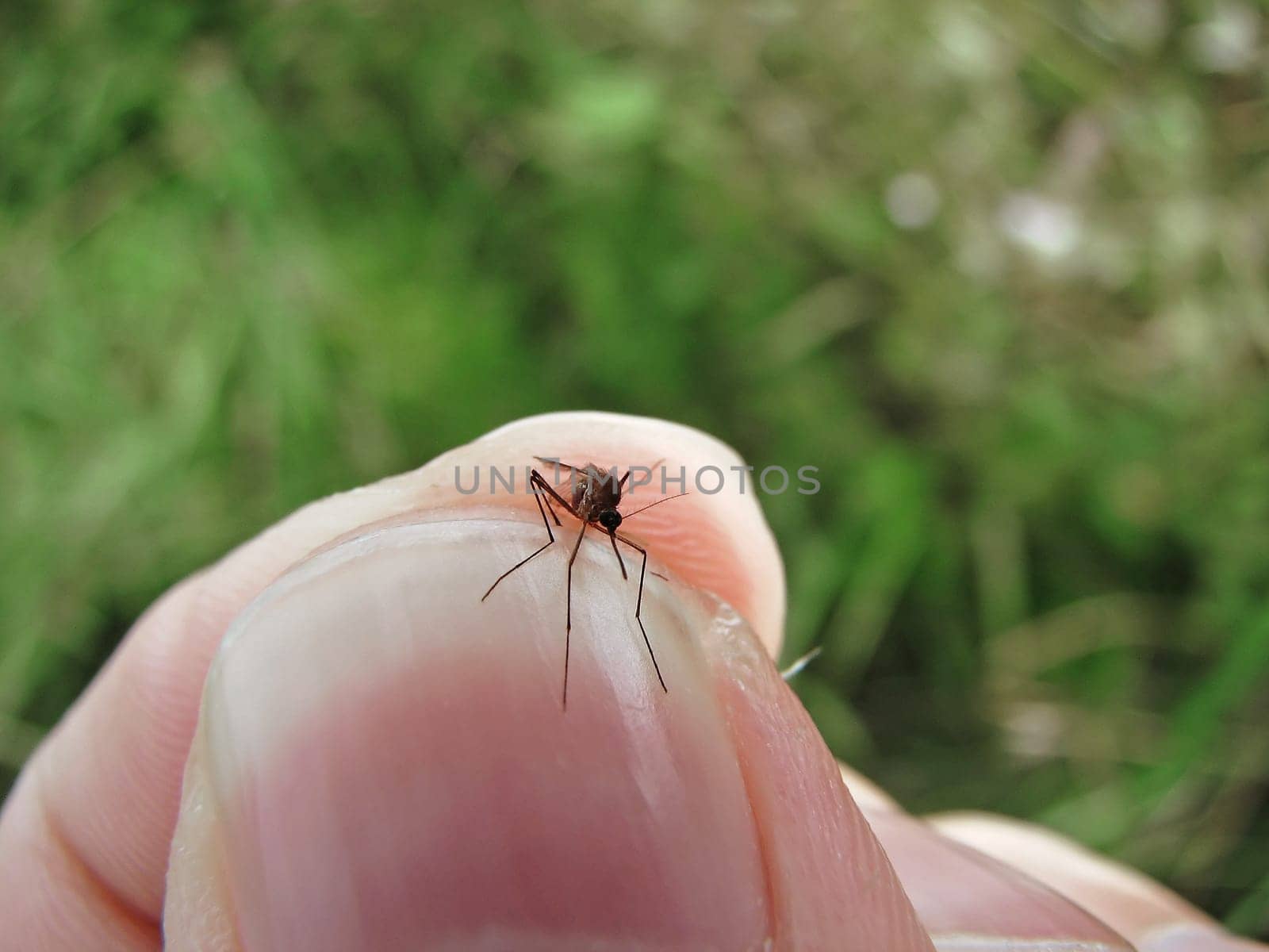 Plucked out of thin air... 1