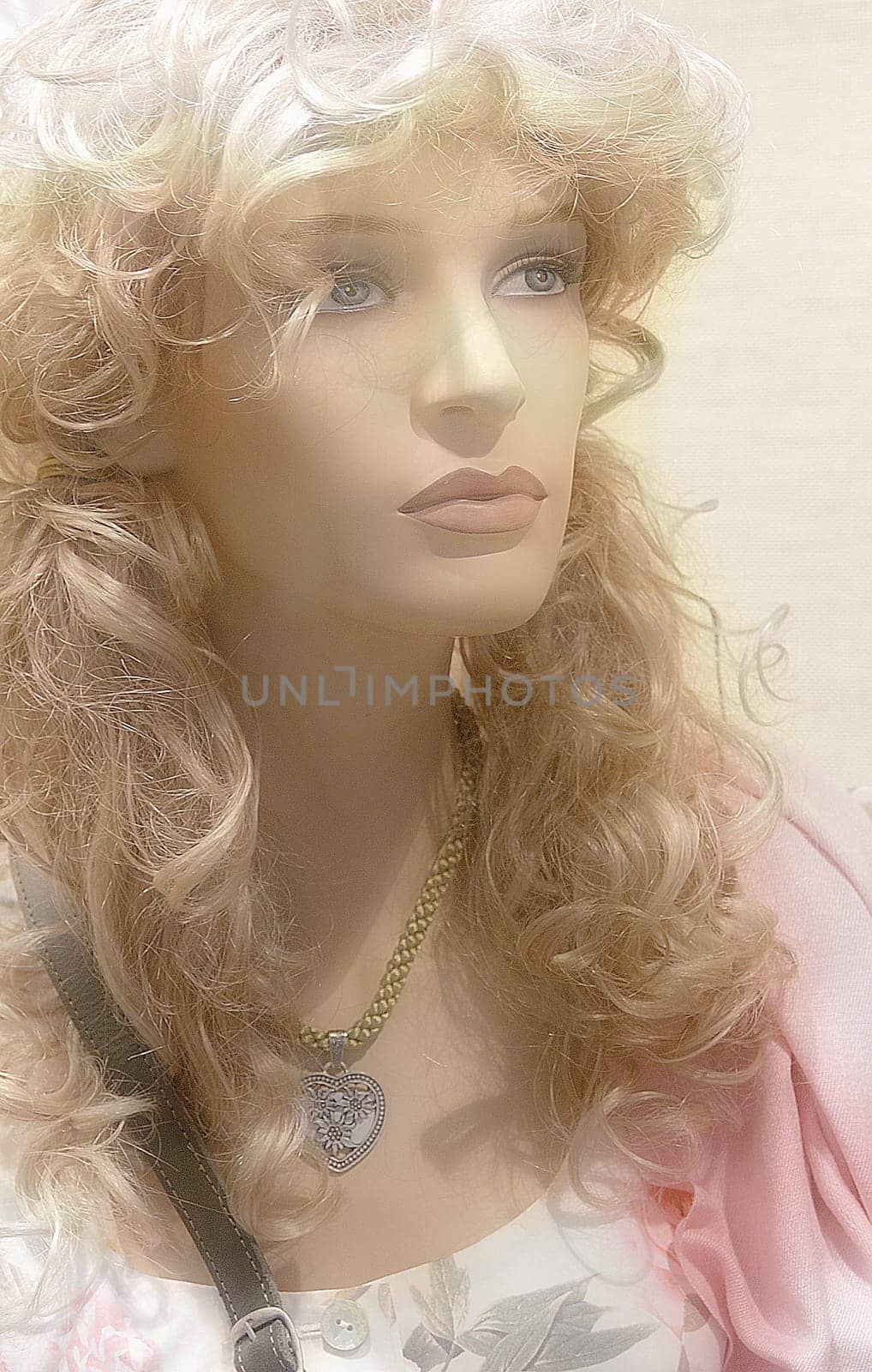 Model behind glass and unfortunately lifeless