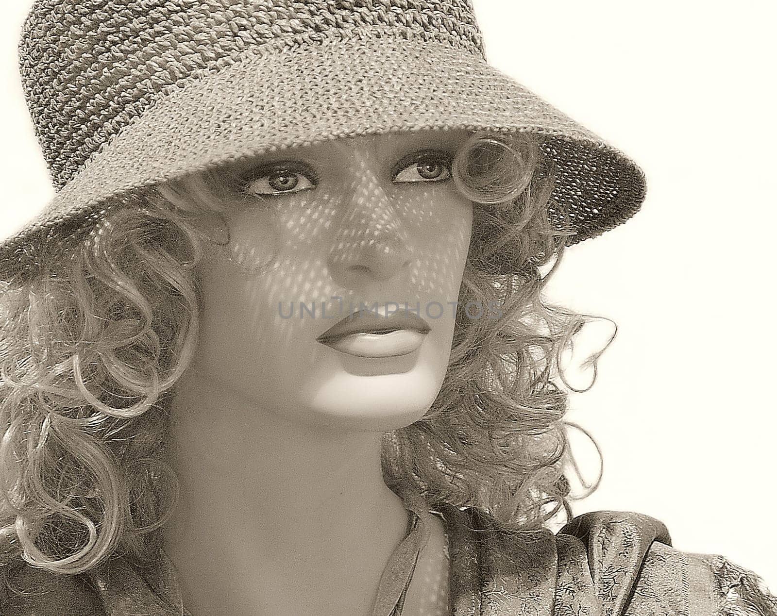 Model behind glass and unfortunately lifeless
