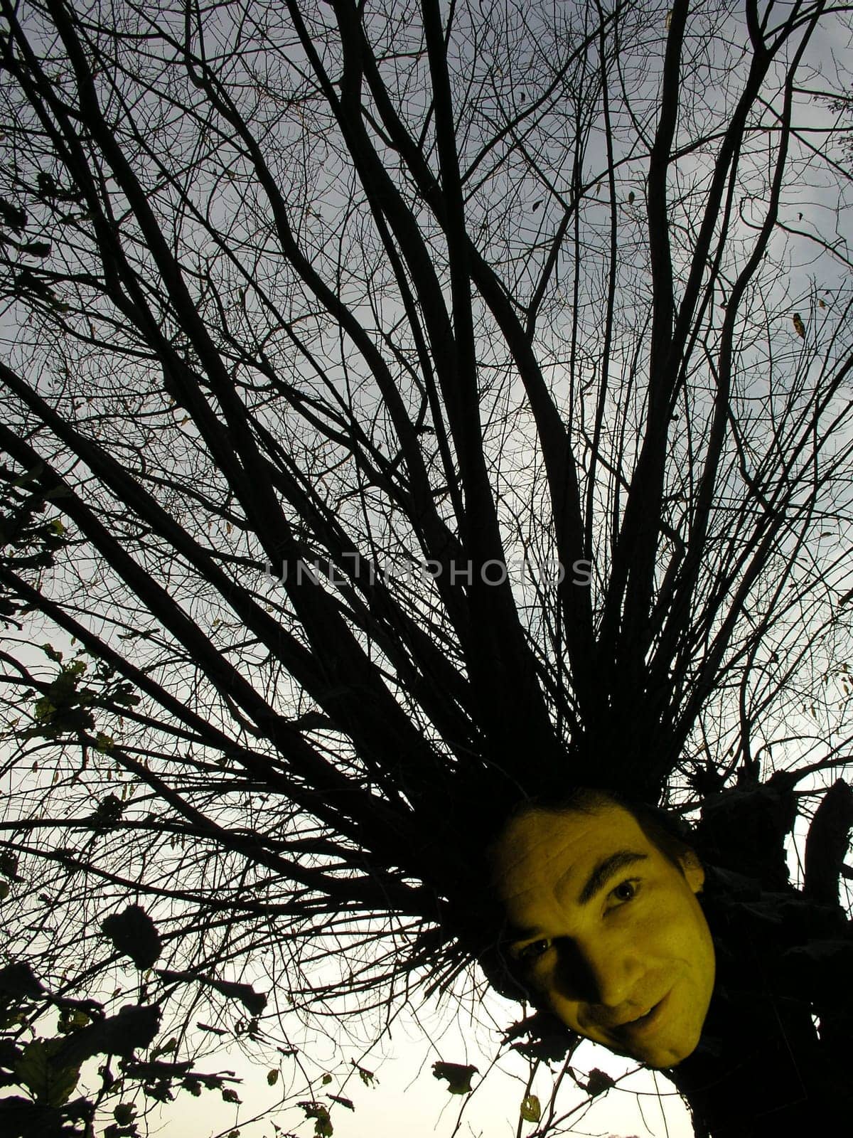 SCATTERBRAIN