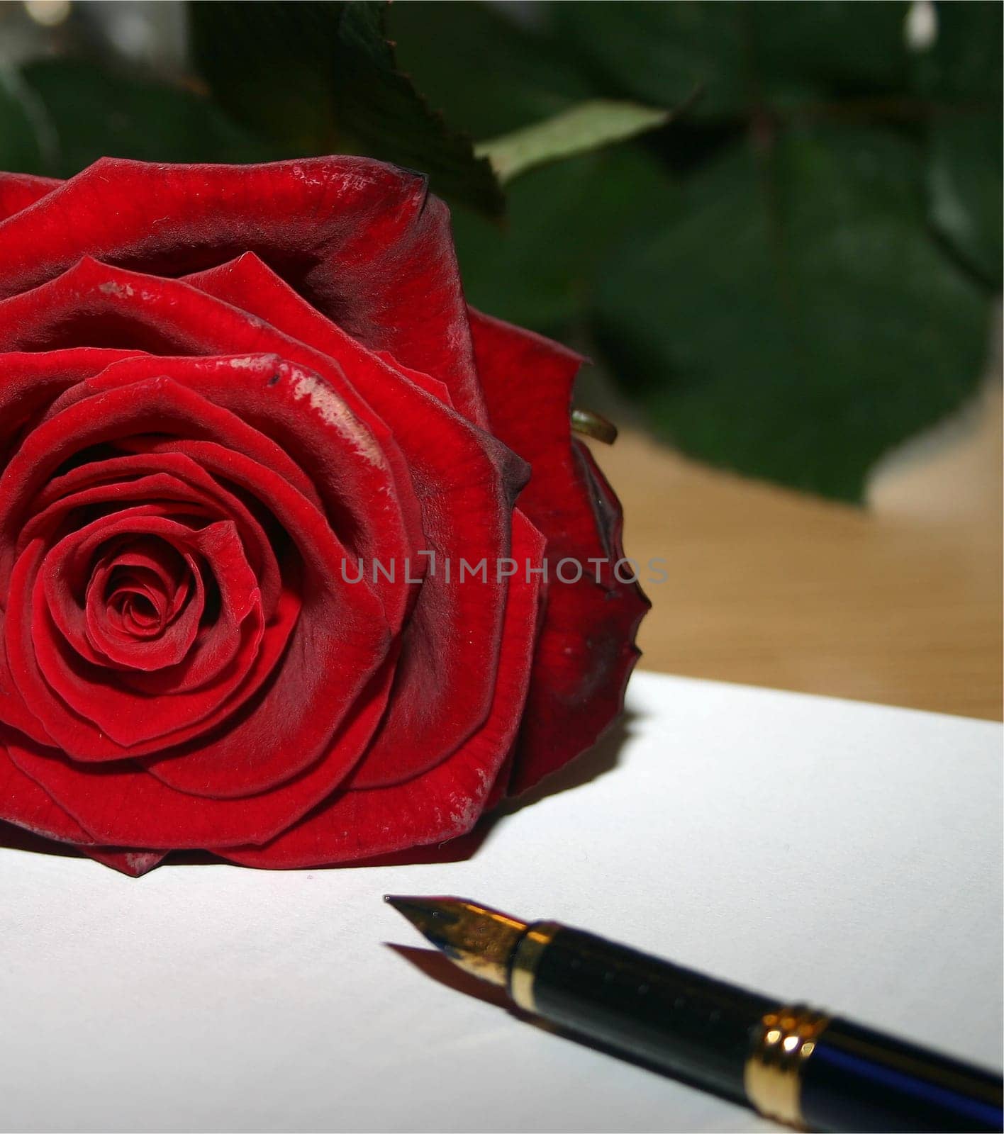 Love letter