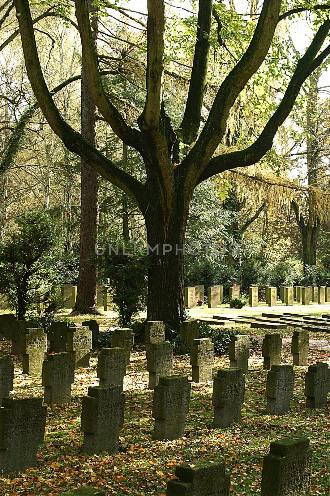 At the main cemetery Frankfurt on 05.11.2005