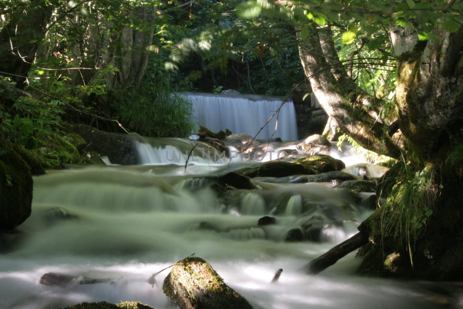 Torrent