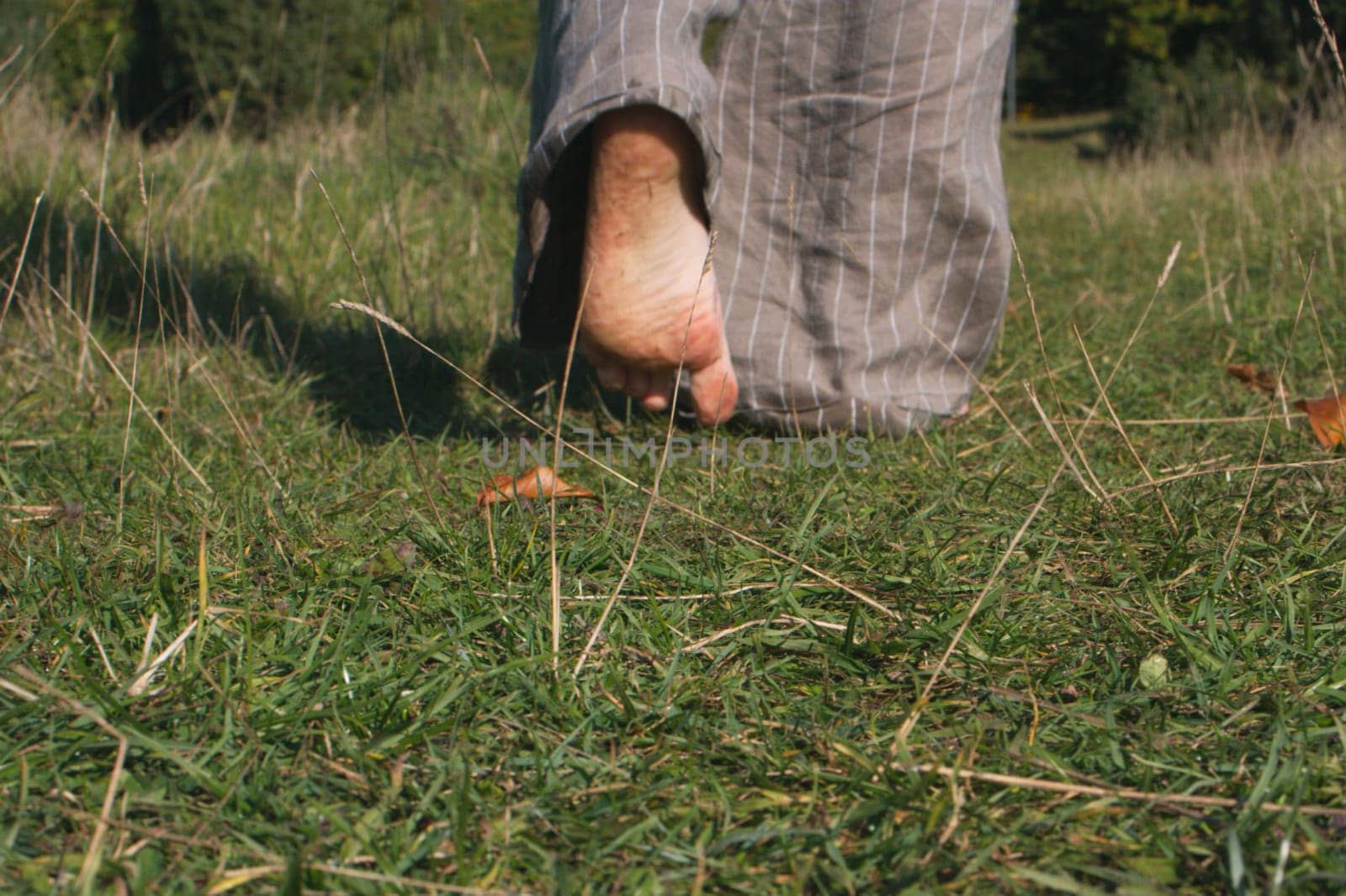 Footpath