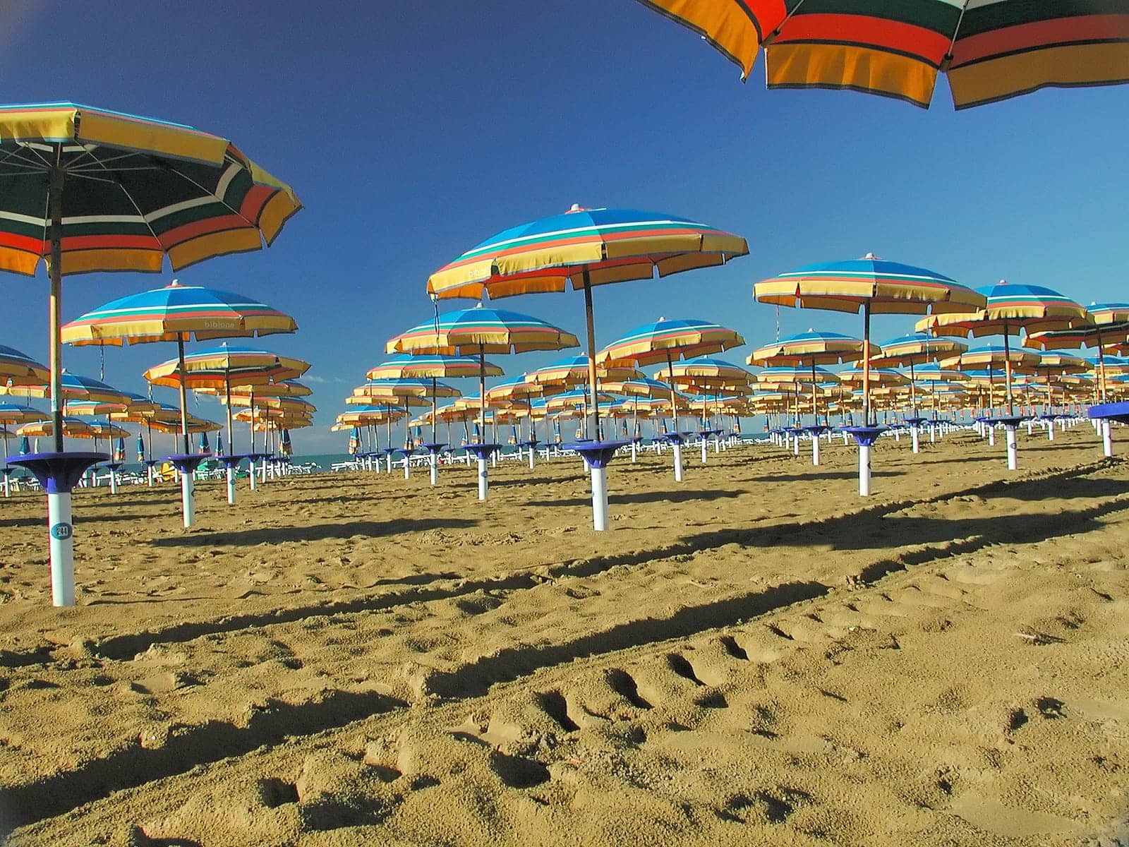 Parasol 3
