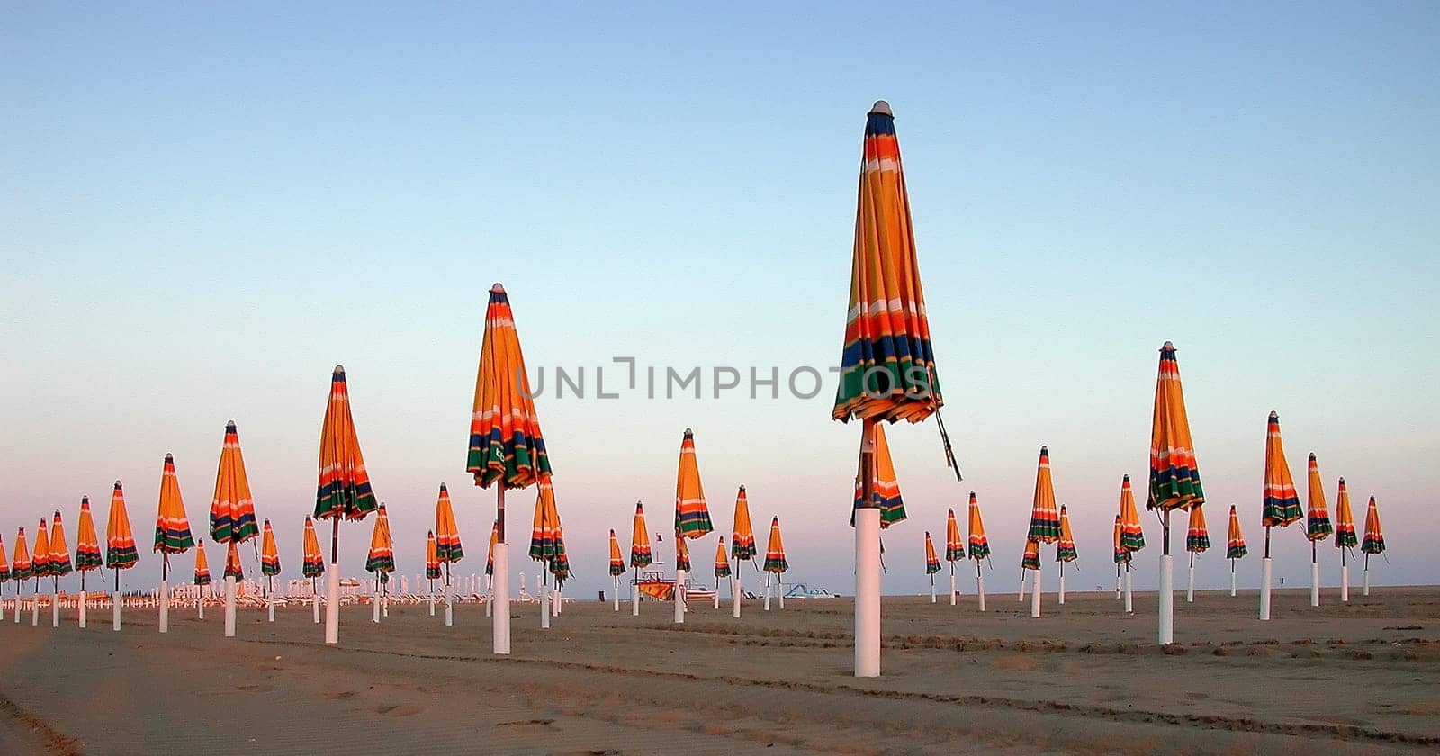 Parasol 5