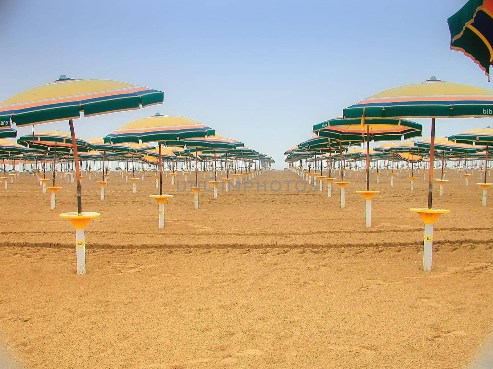 Parasol 6