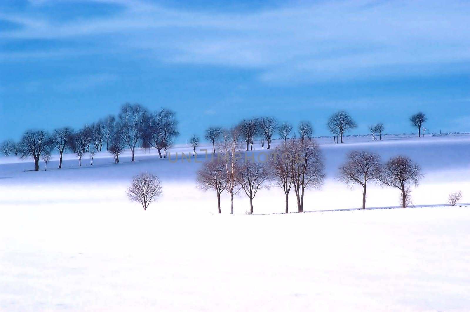 Winter Landscape 4