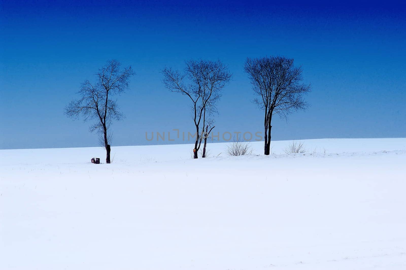 Winter Landscape 1