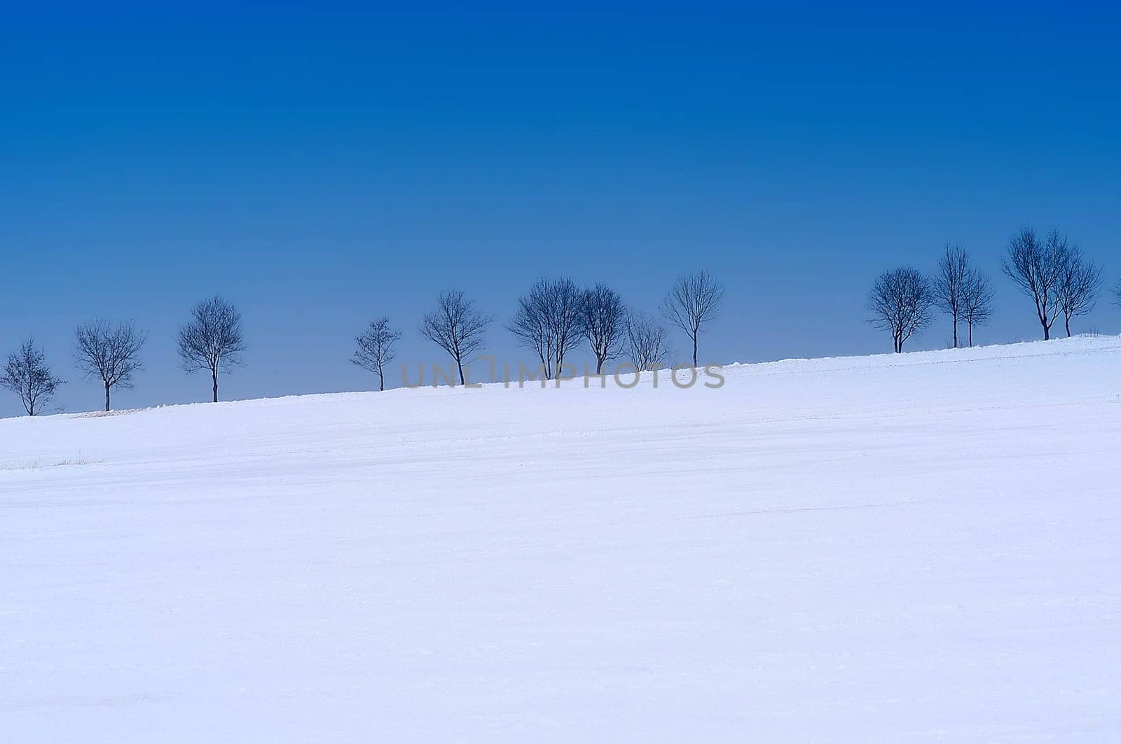 Winter Landscape 2