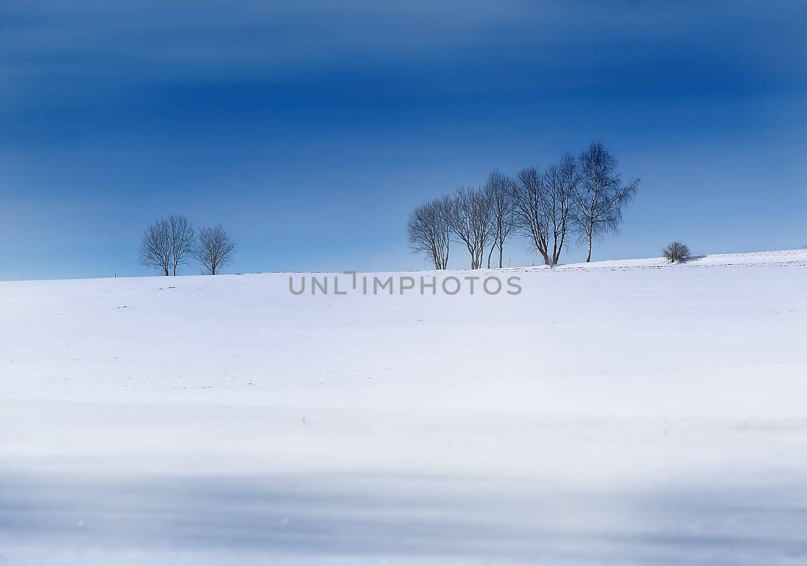 Winter Landscape 3