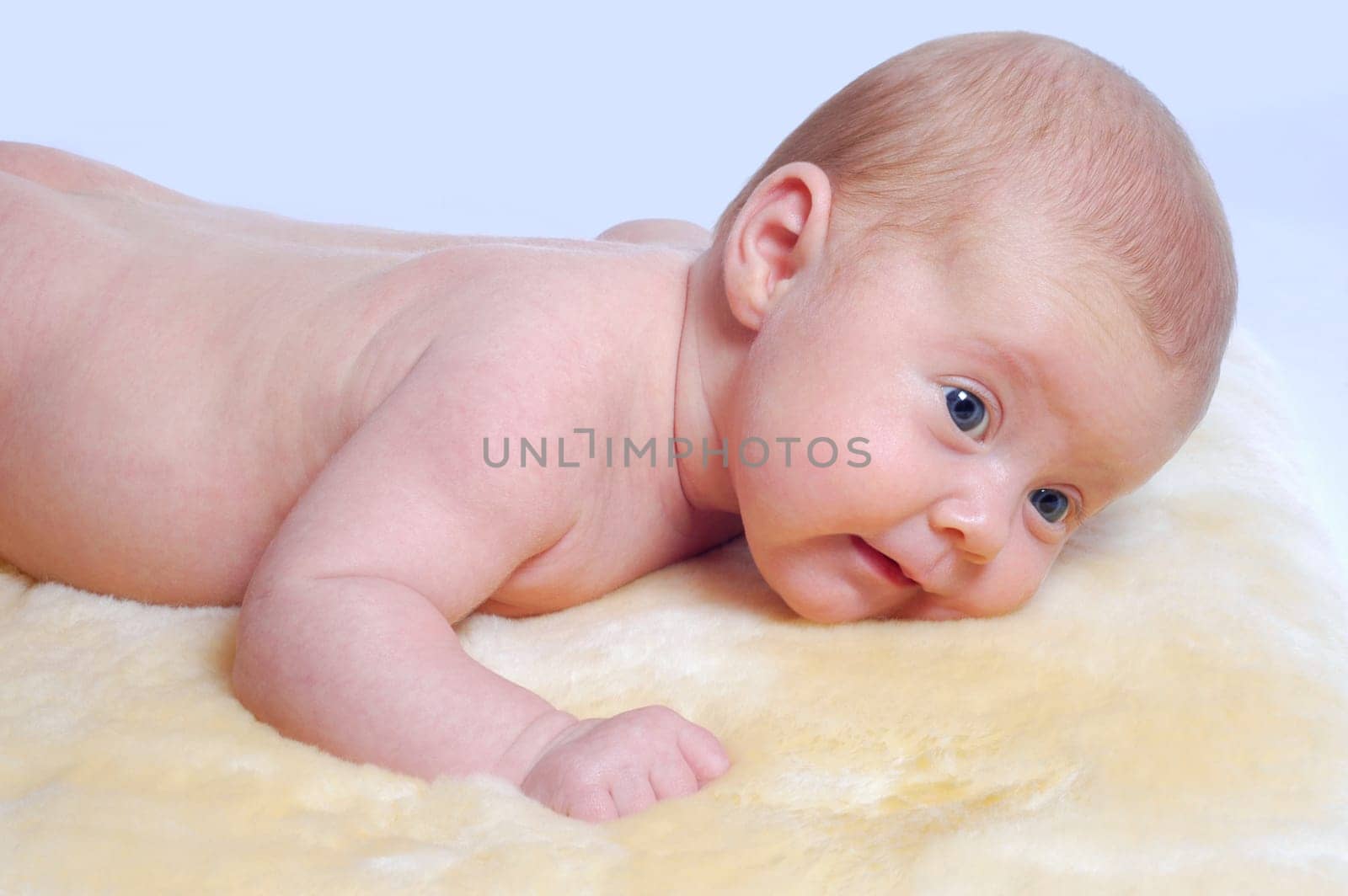 Baby Portrait