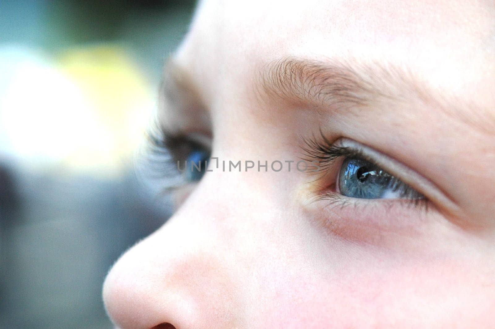 Looking to the future