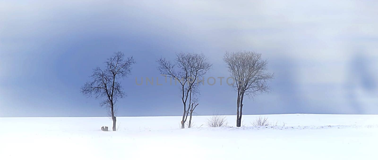Winter Landscape 8