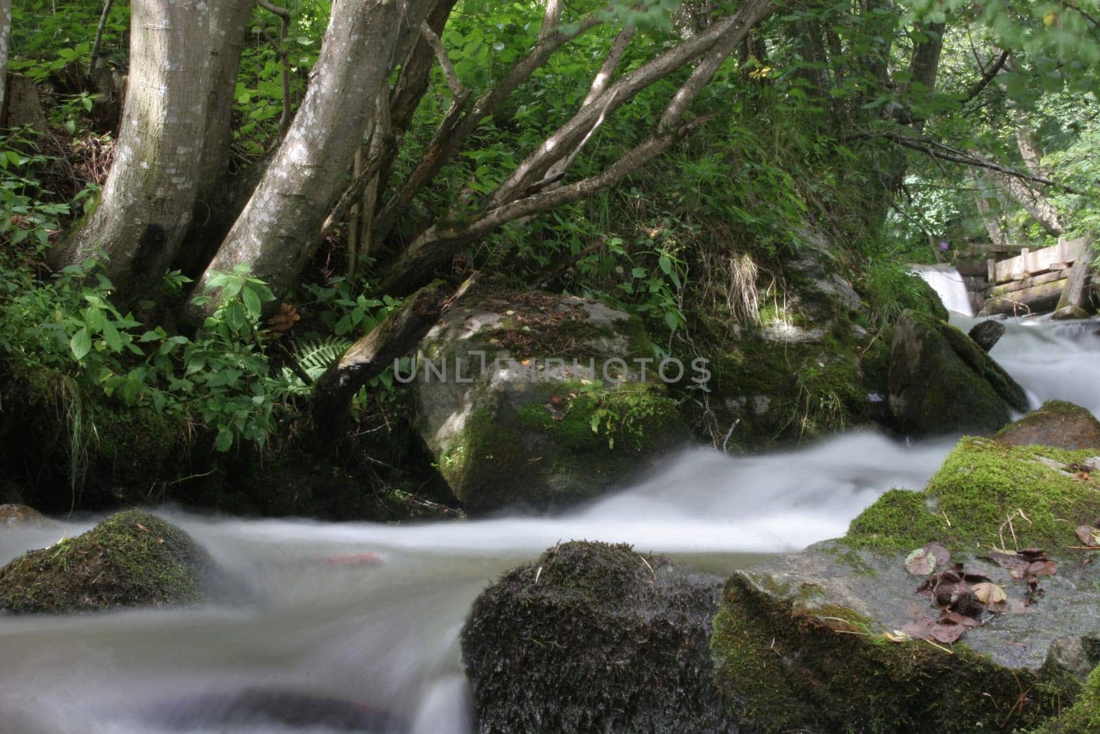 Torrent 2