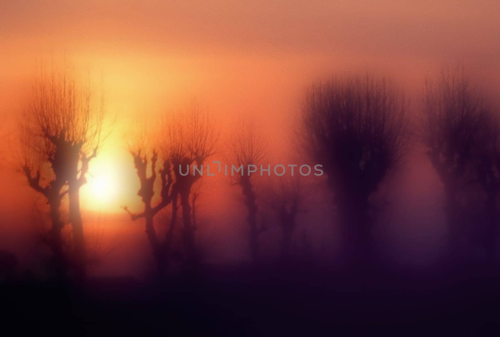 sunset or (sunset beach) or (sunset nature) or (sunset skyline)