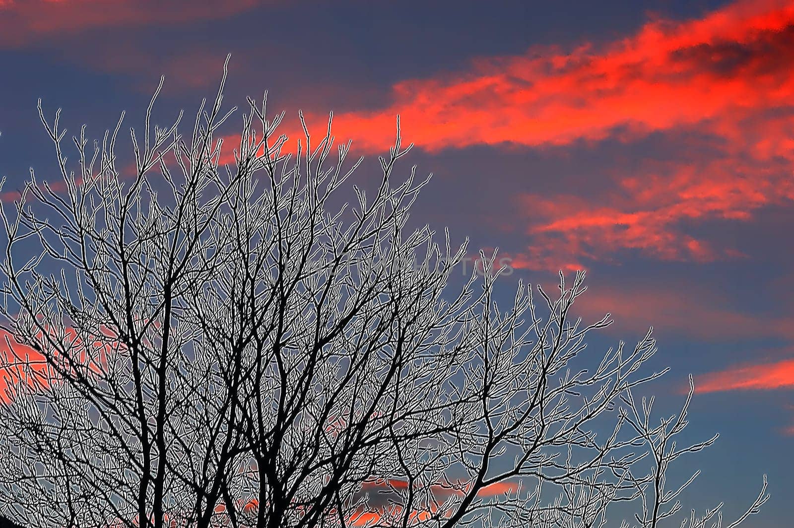 sunset or (sunset beach) or (sunset nature) or (sunset skyline)