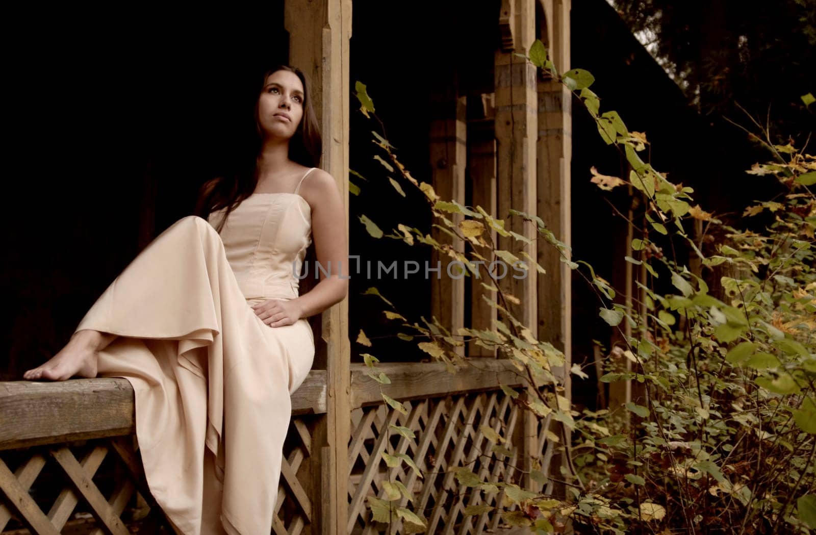 Autumn Dream