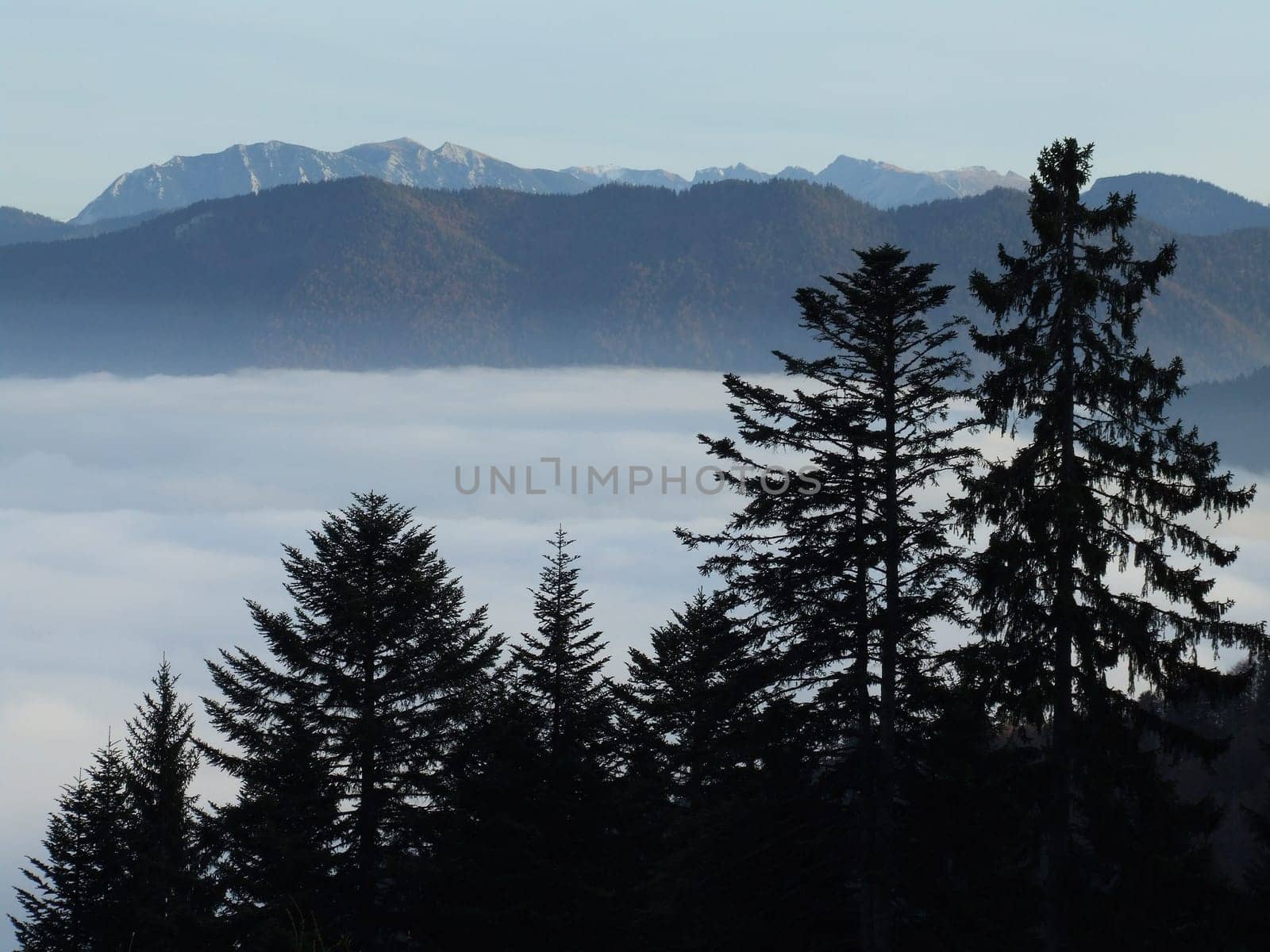 In the Mountains III