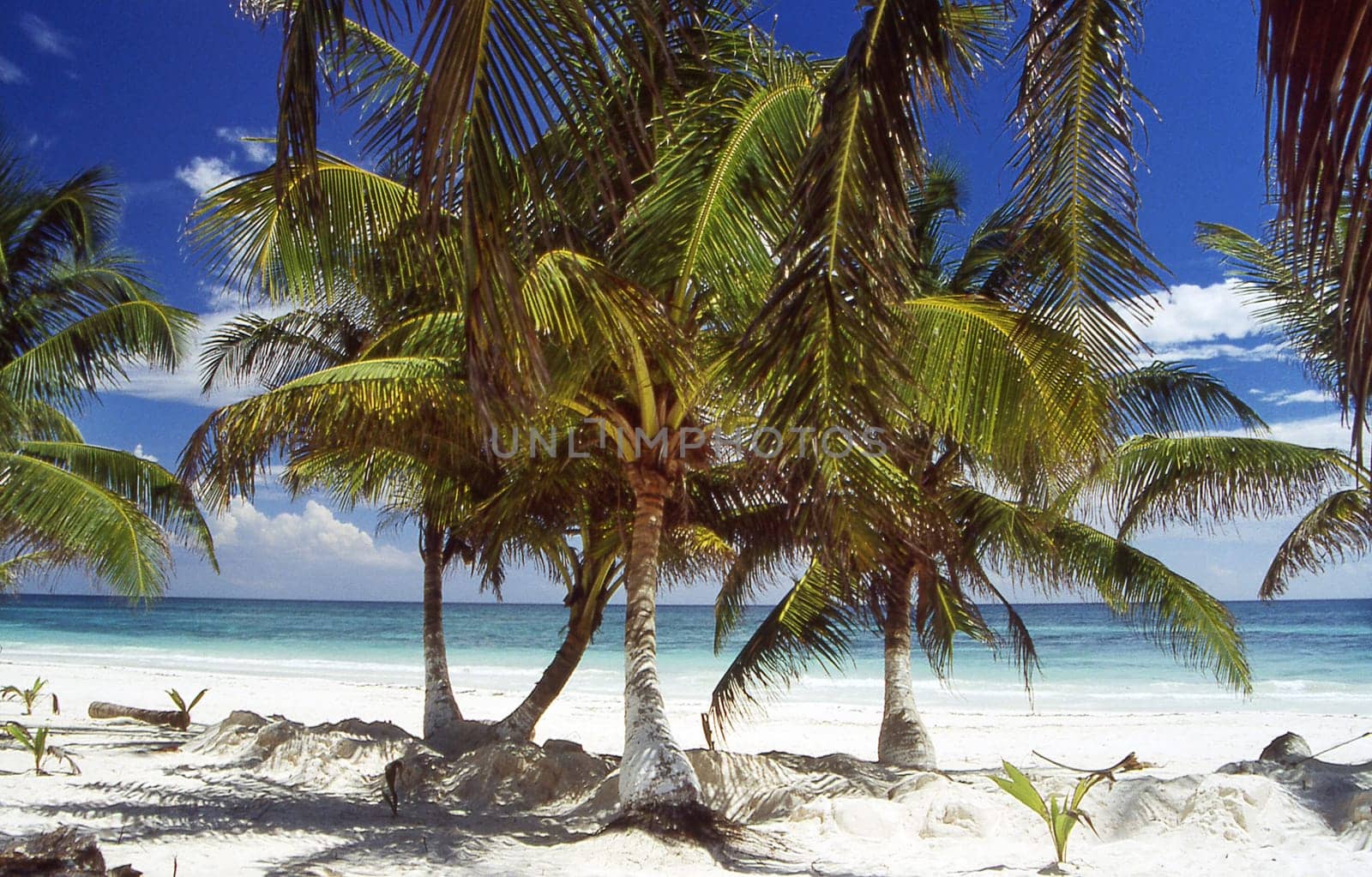 The beach of Punta Allen Mexico is located in a nature reserve about 200km from the border with Guatemala. Close by there is also the well-known archaeological site of Tulum