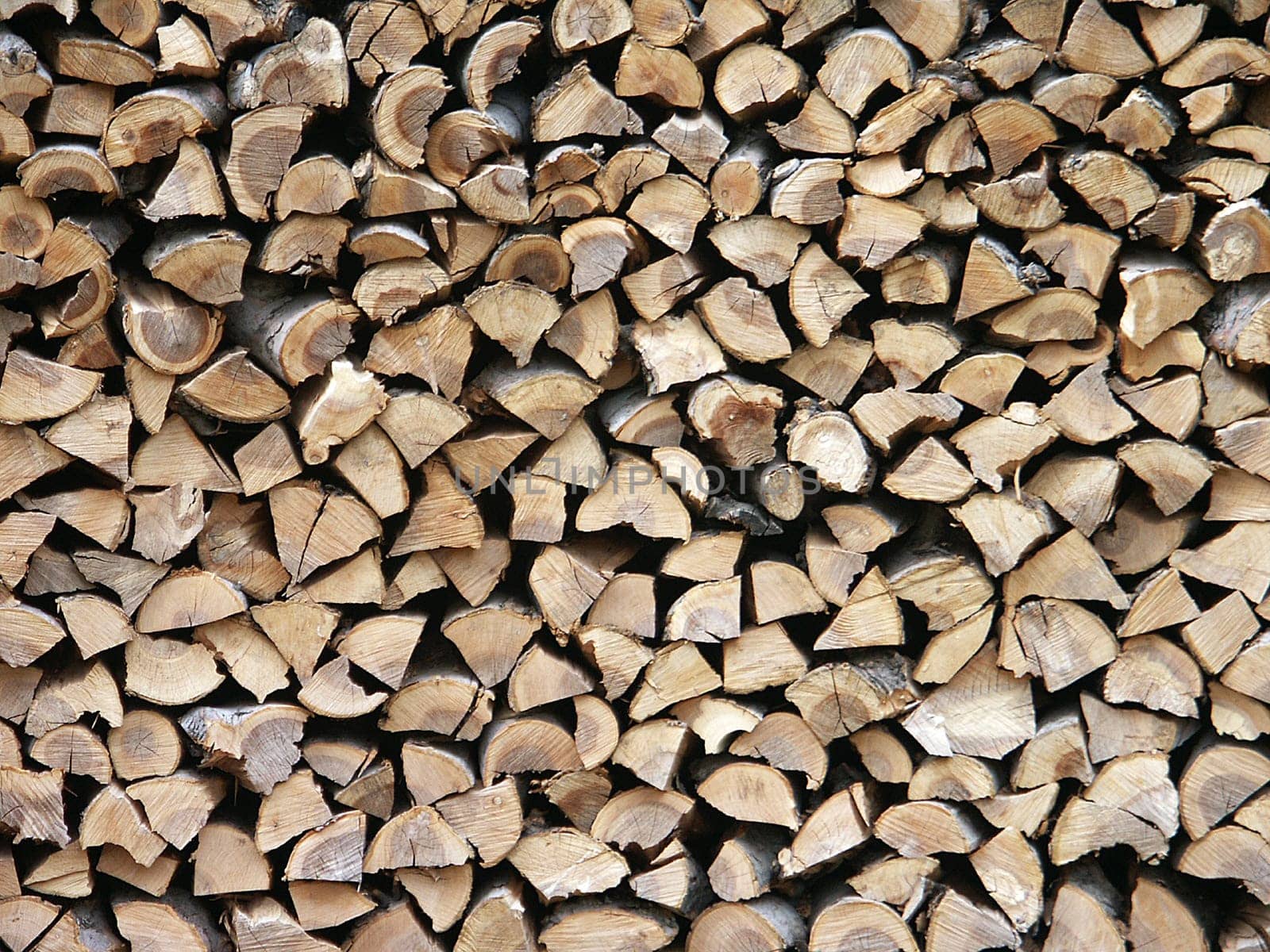 Woodpile