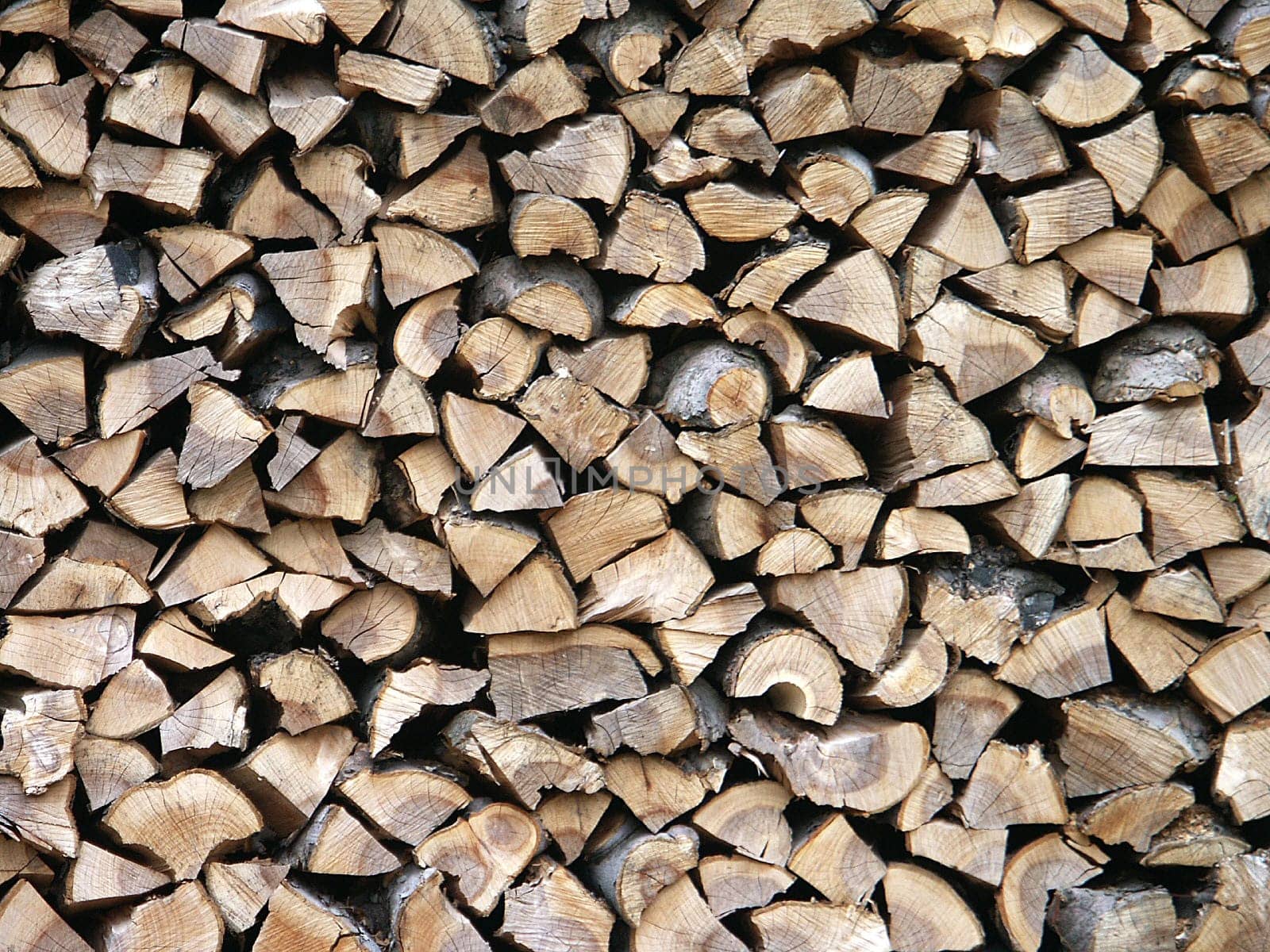Woodpile