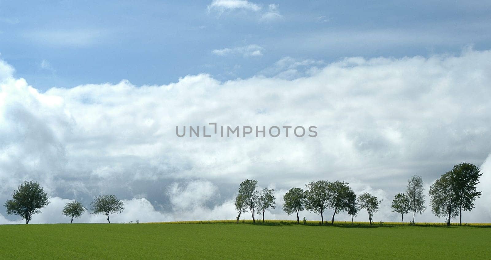 Landscape 4