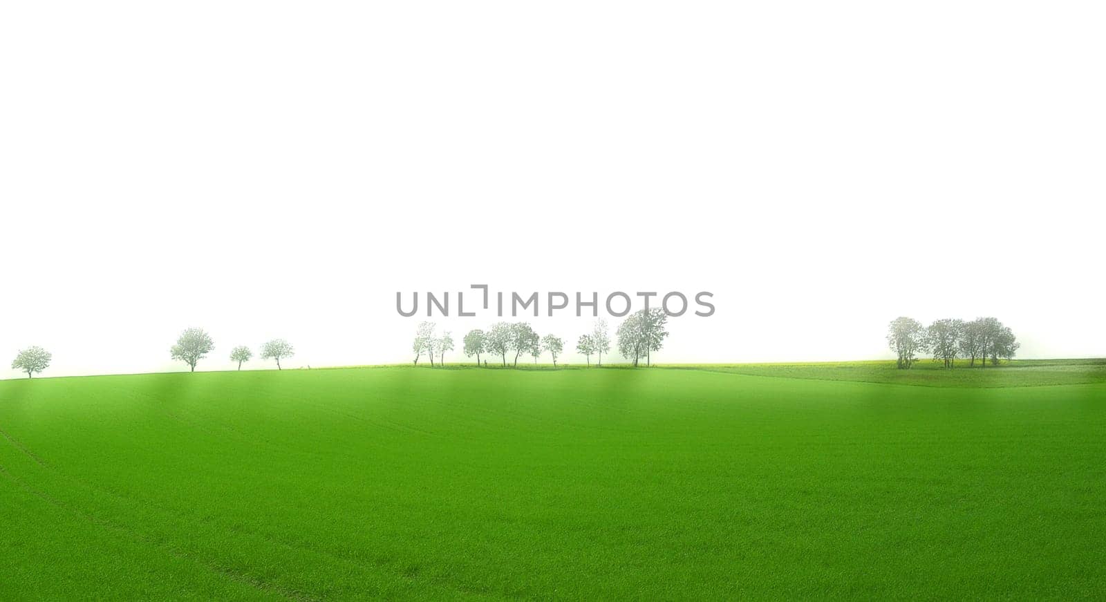 Landscape 6