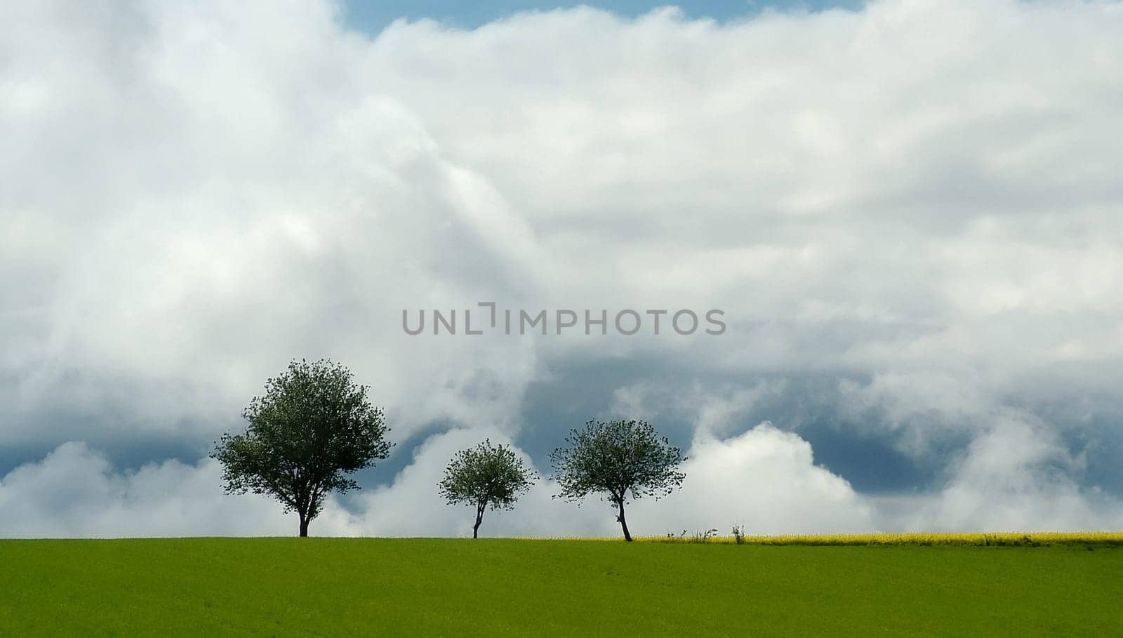 Landscape 3