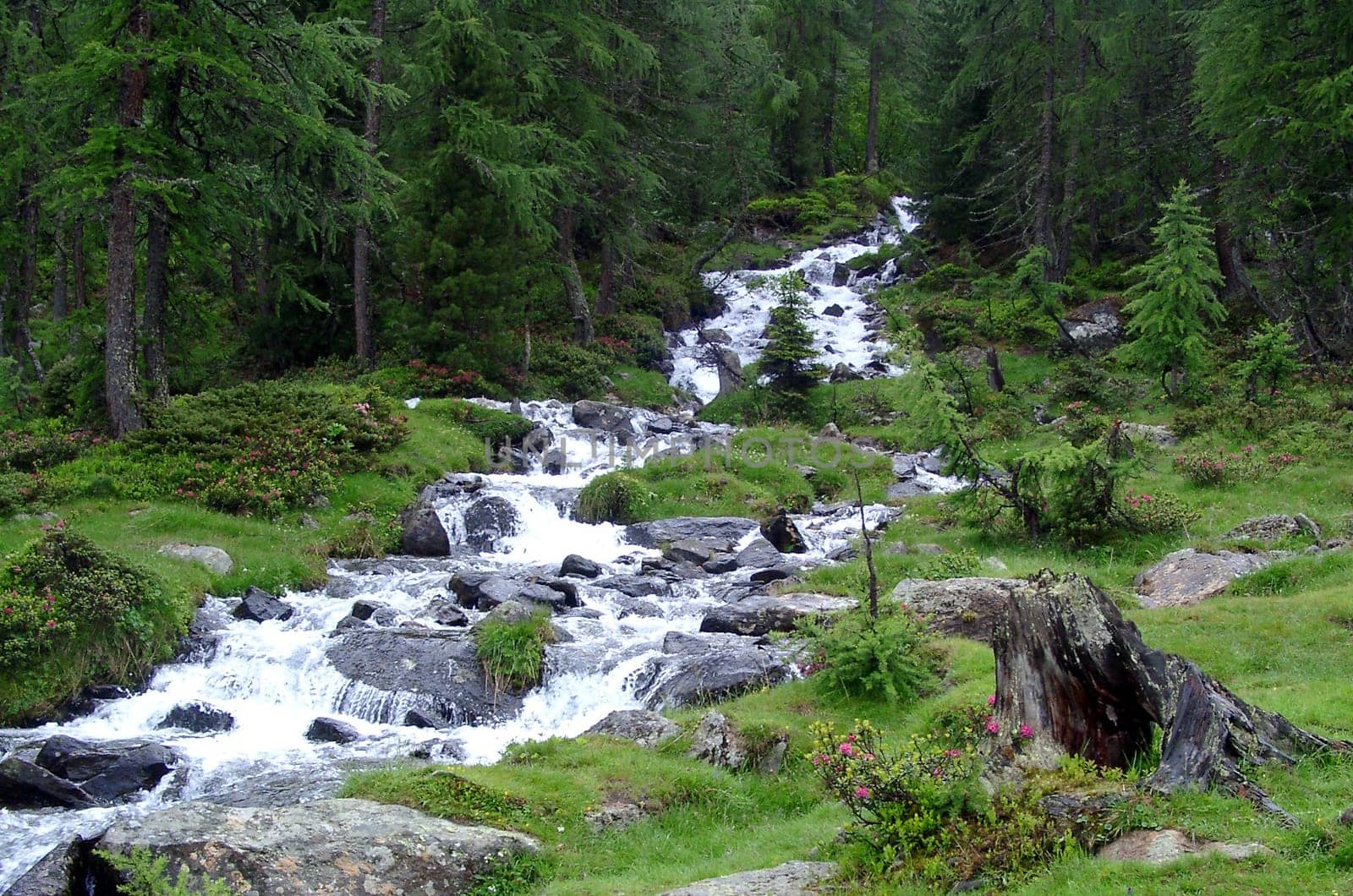 Mountain stream