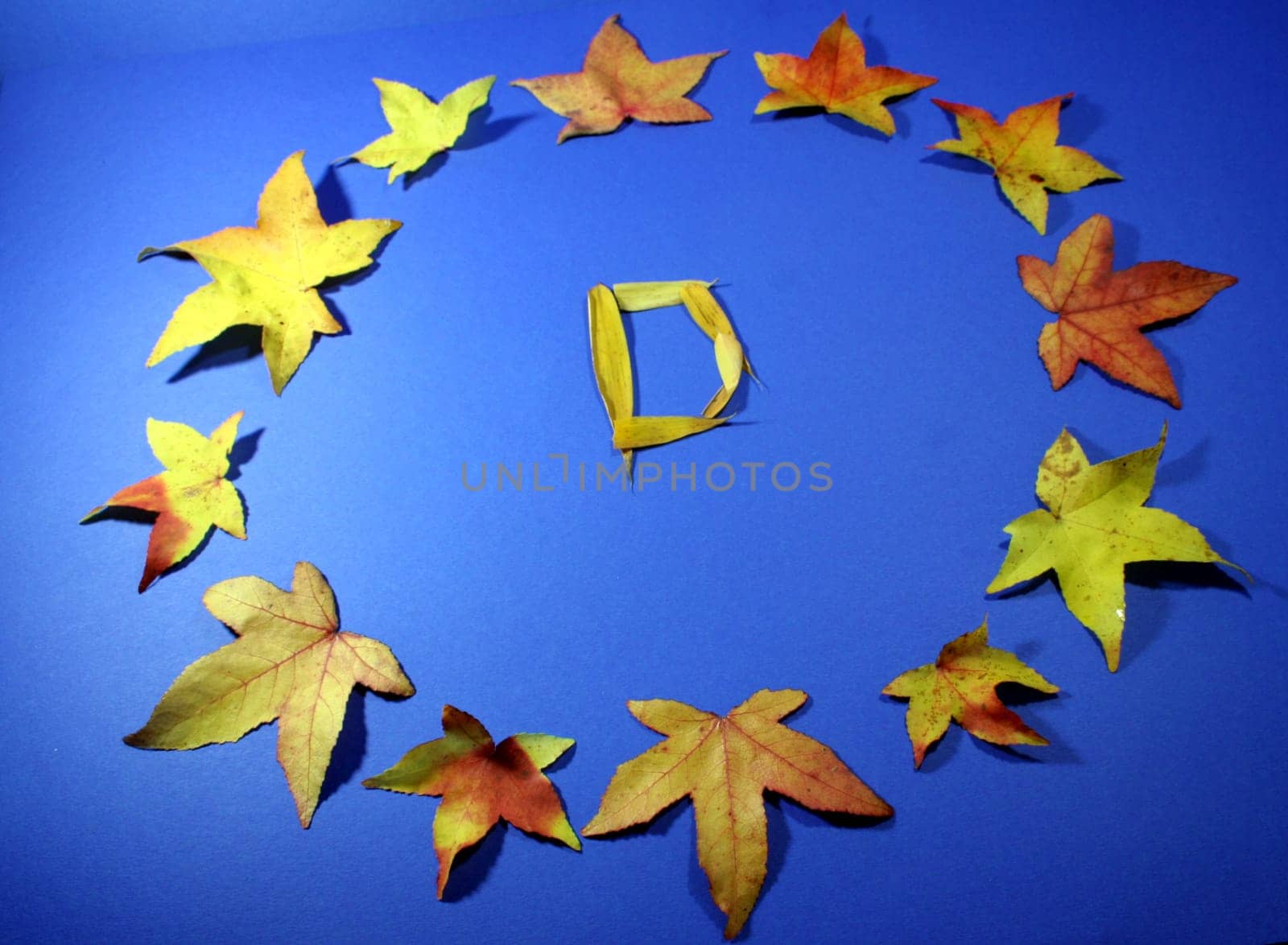 European flag with colorful leaves blue-yellow