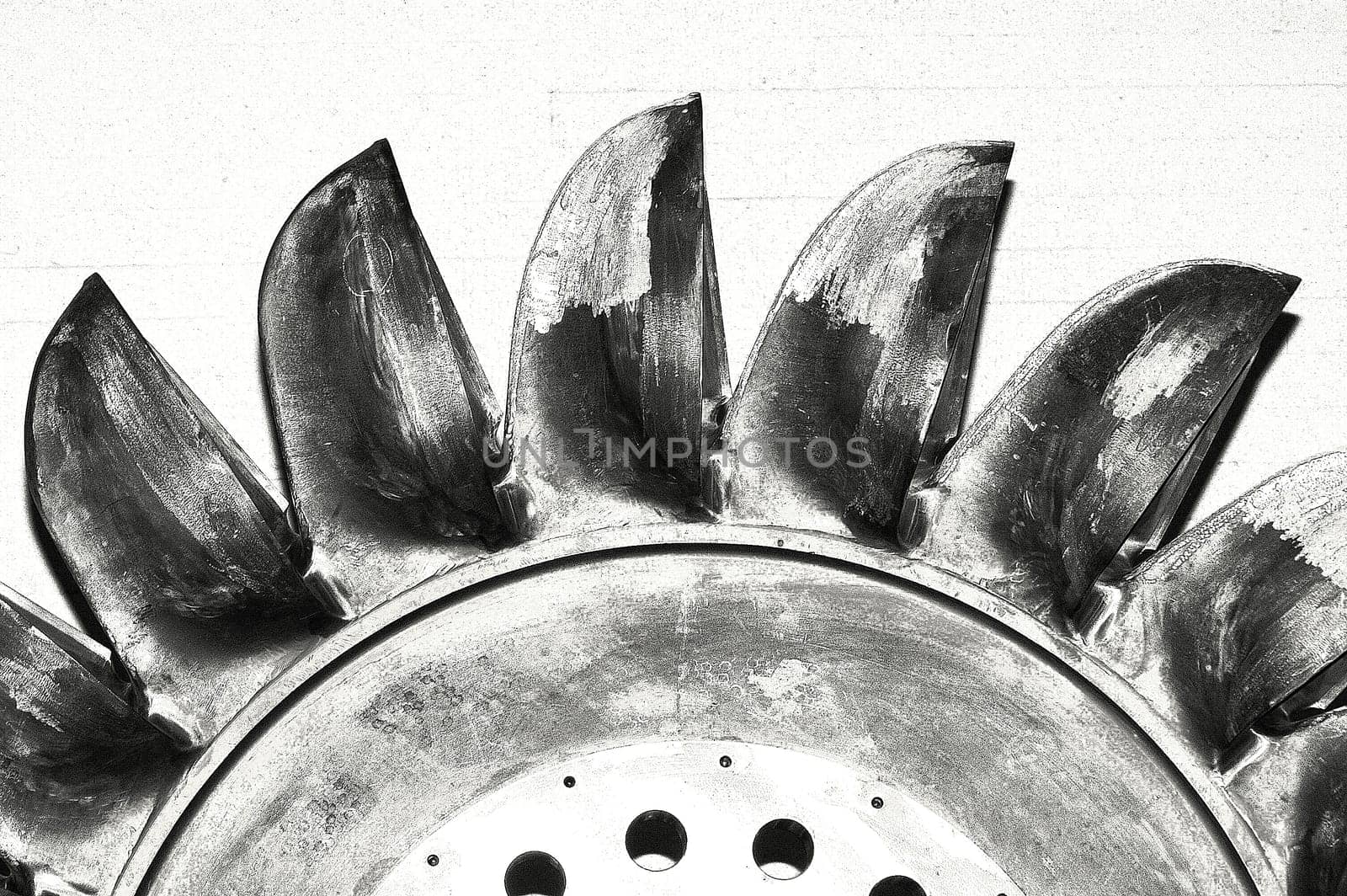 Paddle wheel