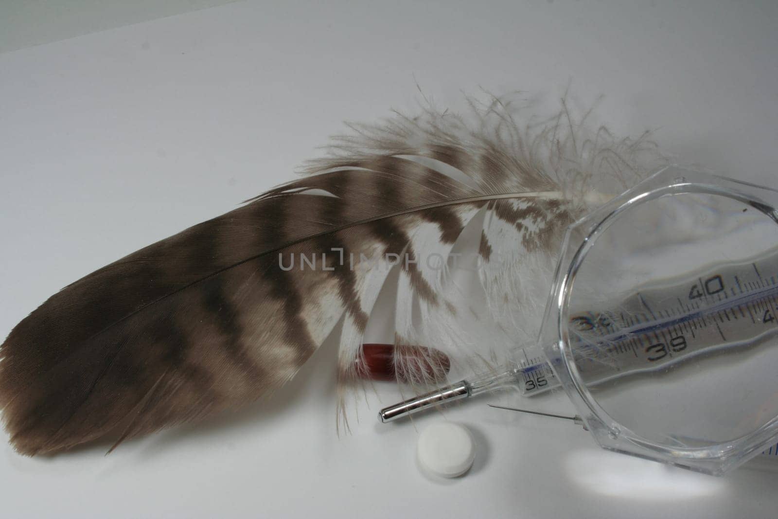 Avian influenza