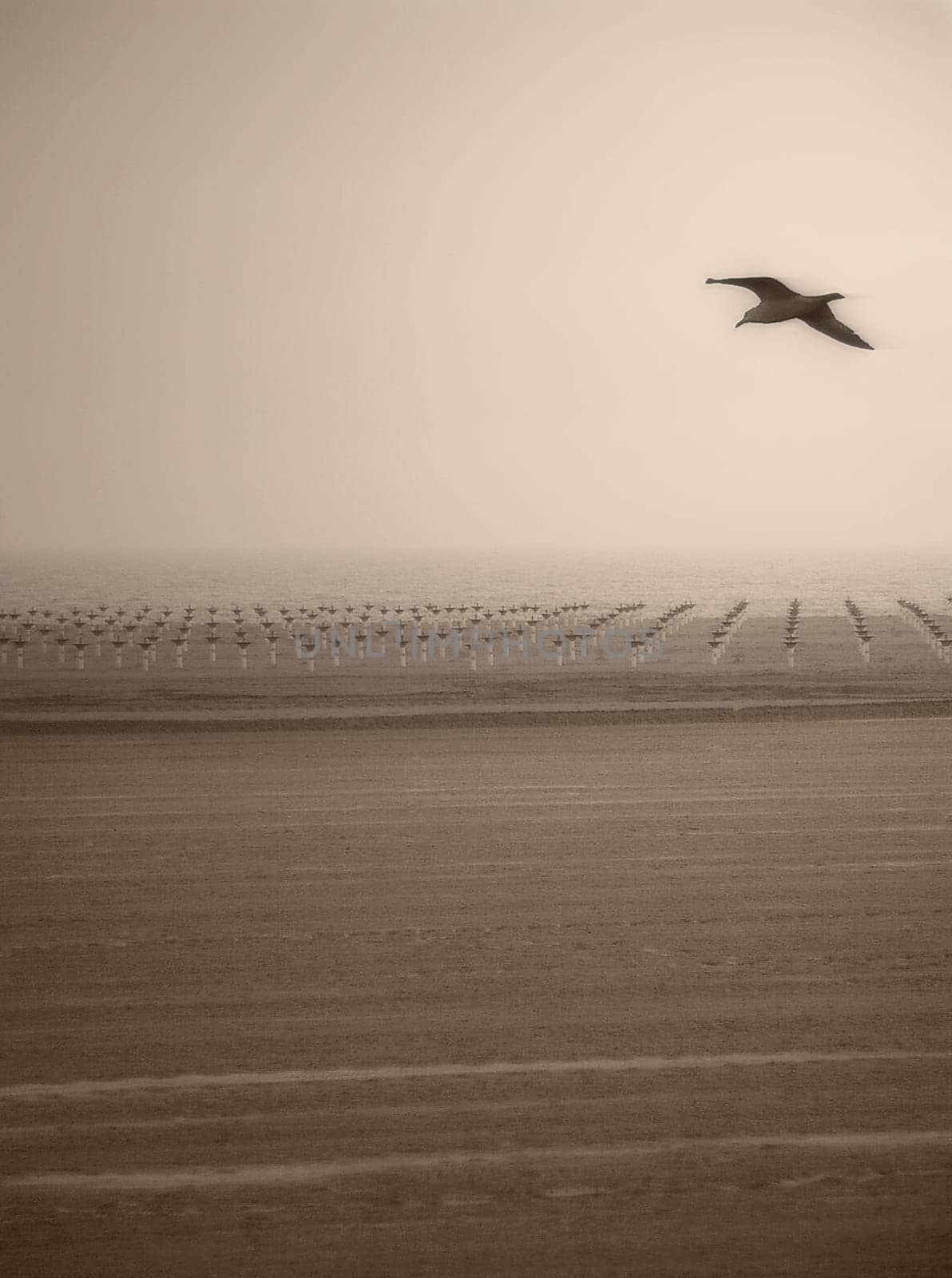 Empty beach