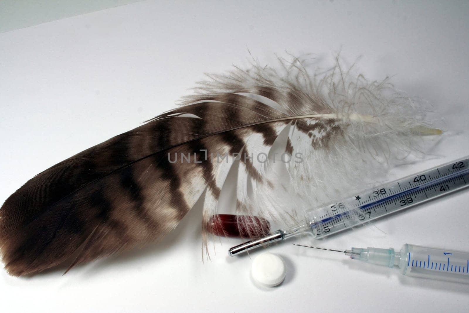Avian influenza vaccination