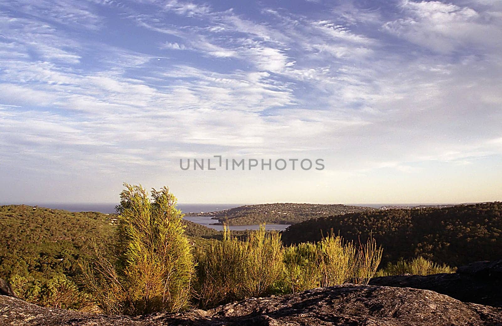 Taken from Garigal Nature Reserve,Elanora Height,Northern Beaches of Sydney in early 2002 This used to be my view very close to where I lived!