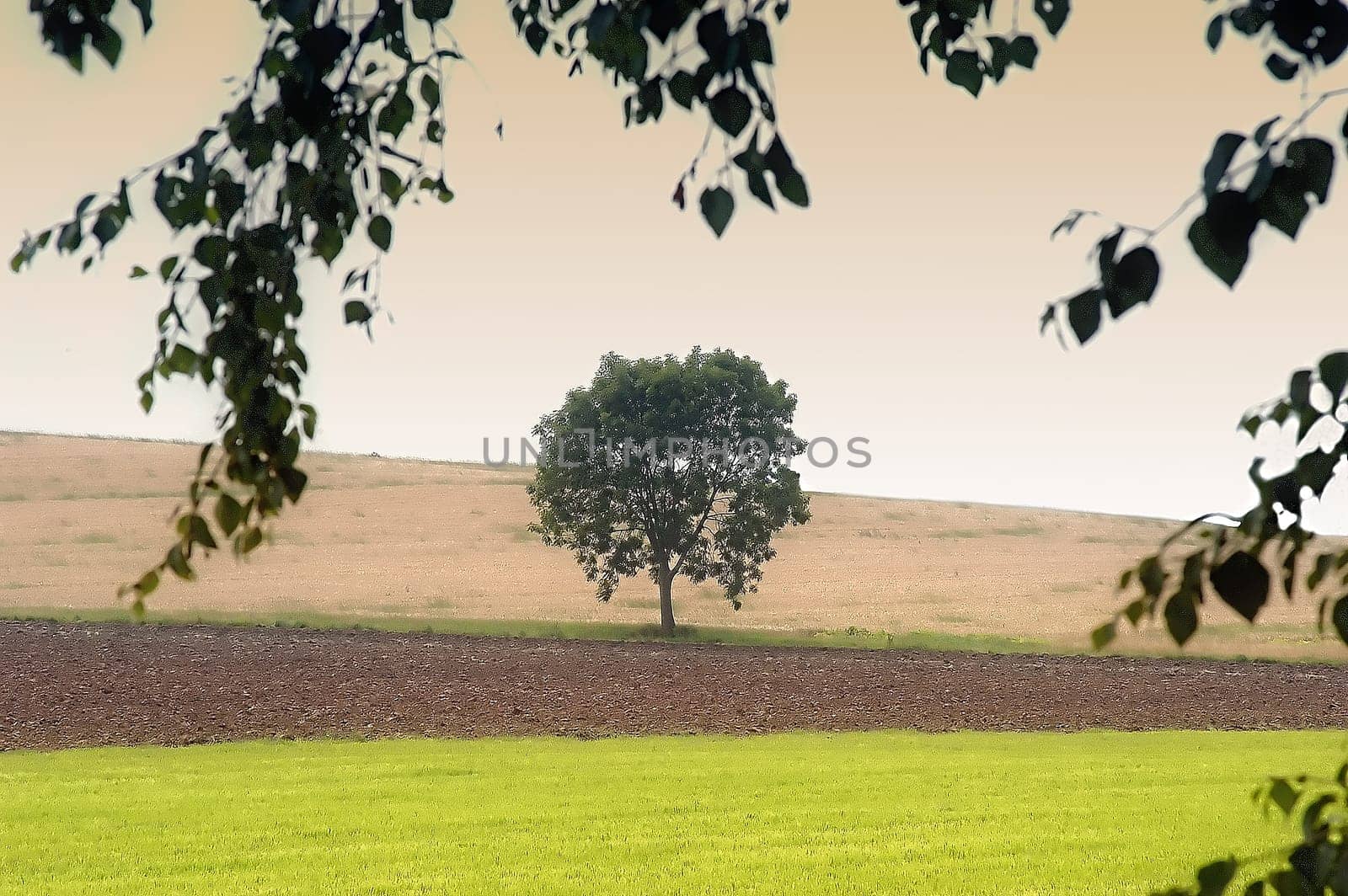 I know,stupid is the tree so in the middle. But there was no other way.