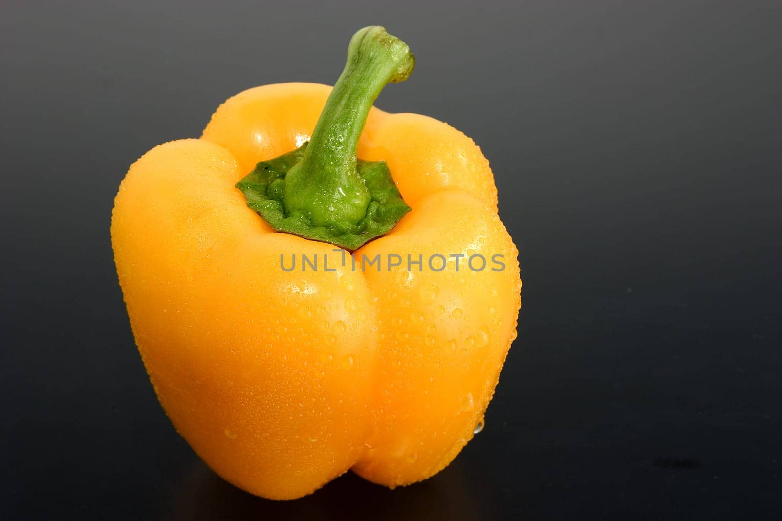 Paprika 03