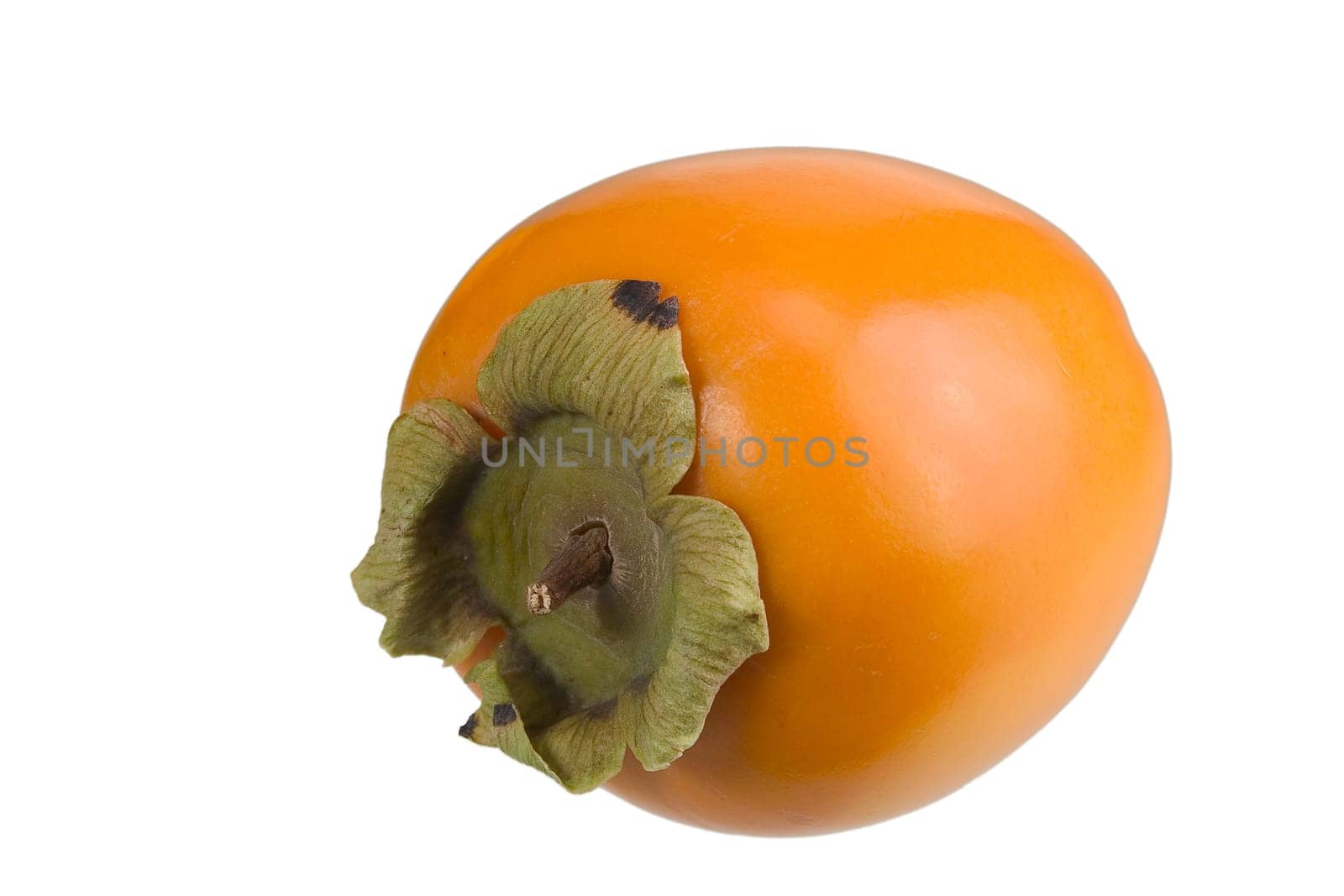 persimmon fruit 01