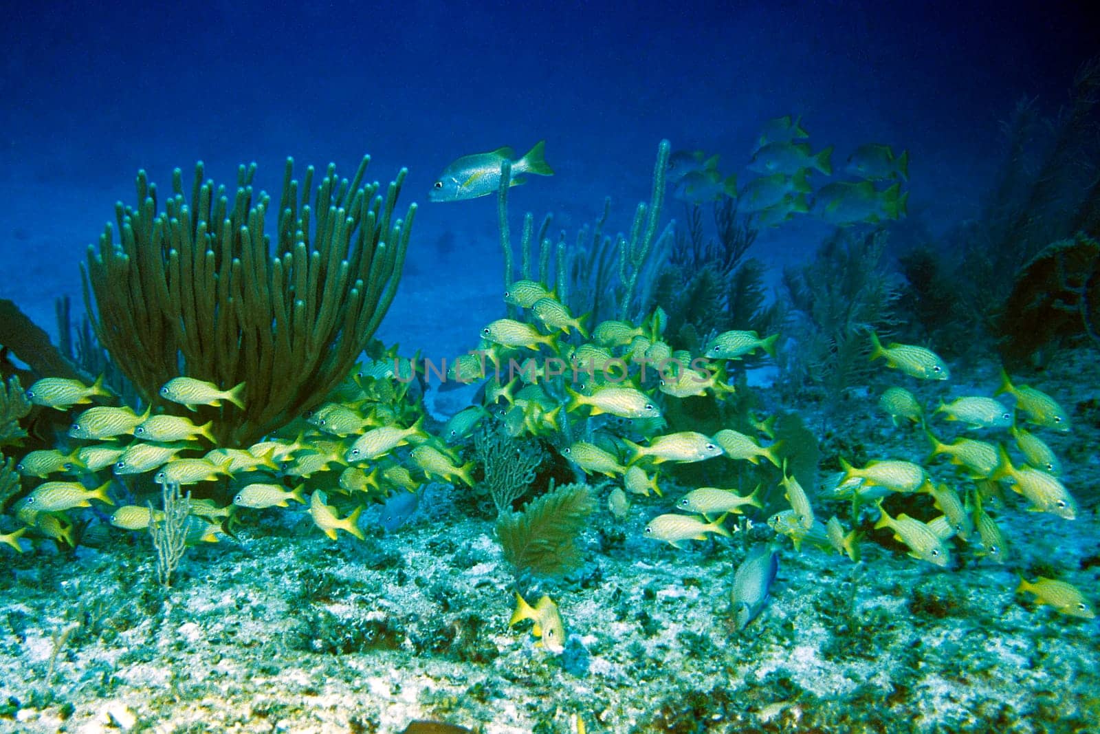 Cayo Largo/Cuba