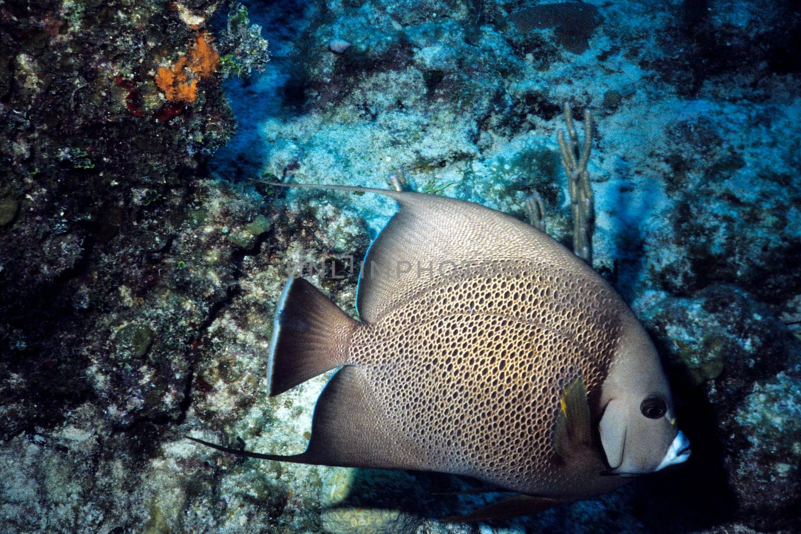 Cayo Largo/Cuba
