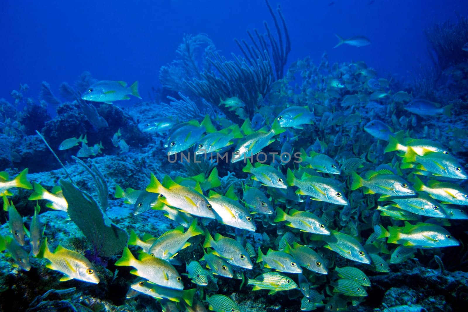 Cayo Largo/Cuba