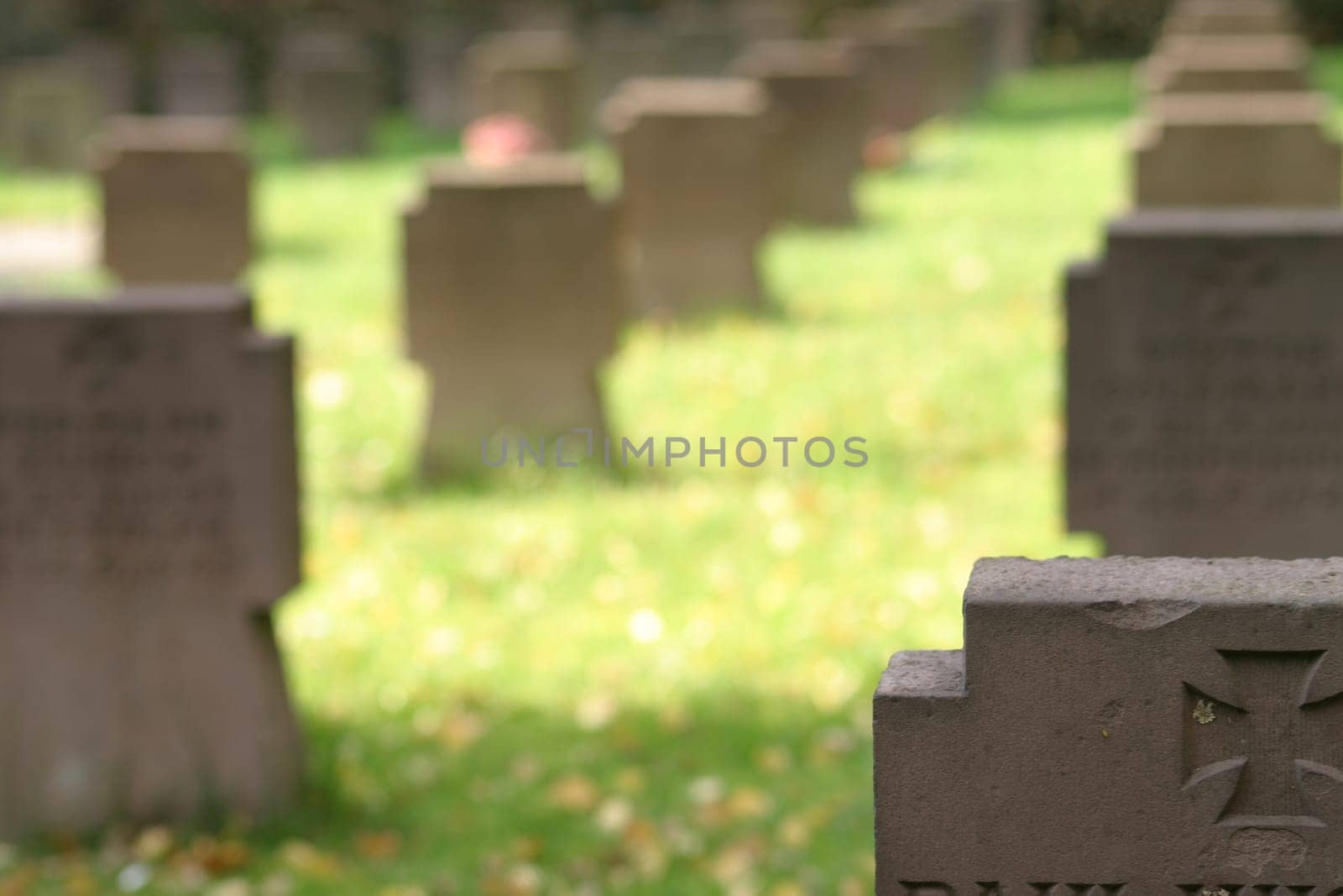 Military cemetery in Bad pyrmont